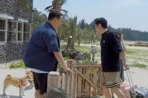 《向往6》沈腾黄磊互怼名场面，何炅救场尴尬不断