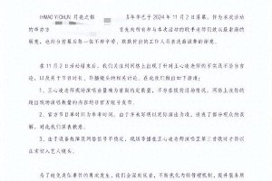王心凌音乐节退票风波：合约与宣传的落差