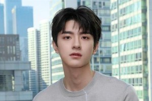 林一单身揭秘：绯闻女友与演艺生涯全解析
