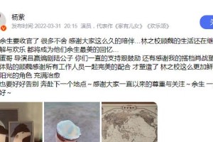 杨紫事业风生水起，秦俊杰因胡辣汤事件跌入谷底