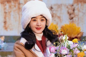 赵丽颖林更新二搭古偶《与凤行》引争议
