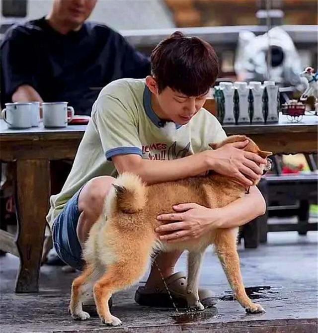 何炅错位照
