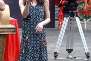 姚笛：从巅峰到谷底的演艺人生与“周一见”事件